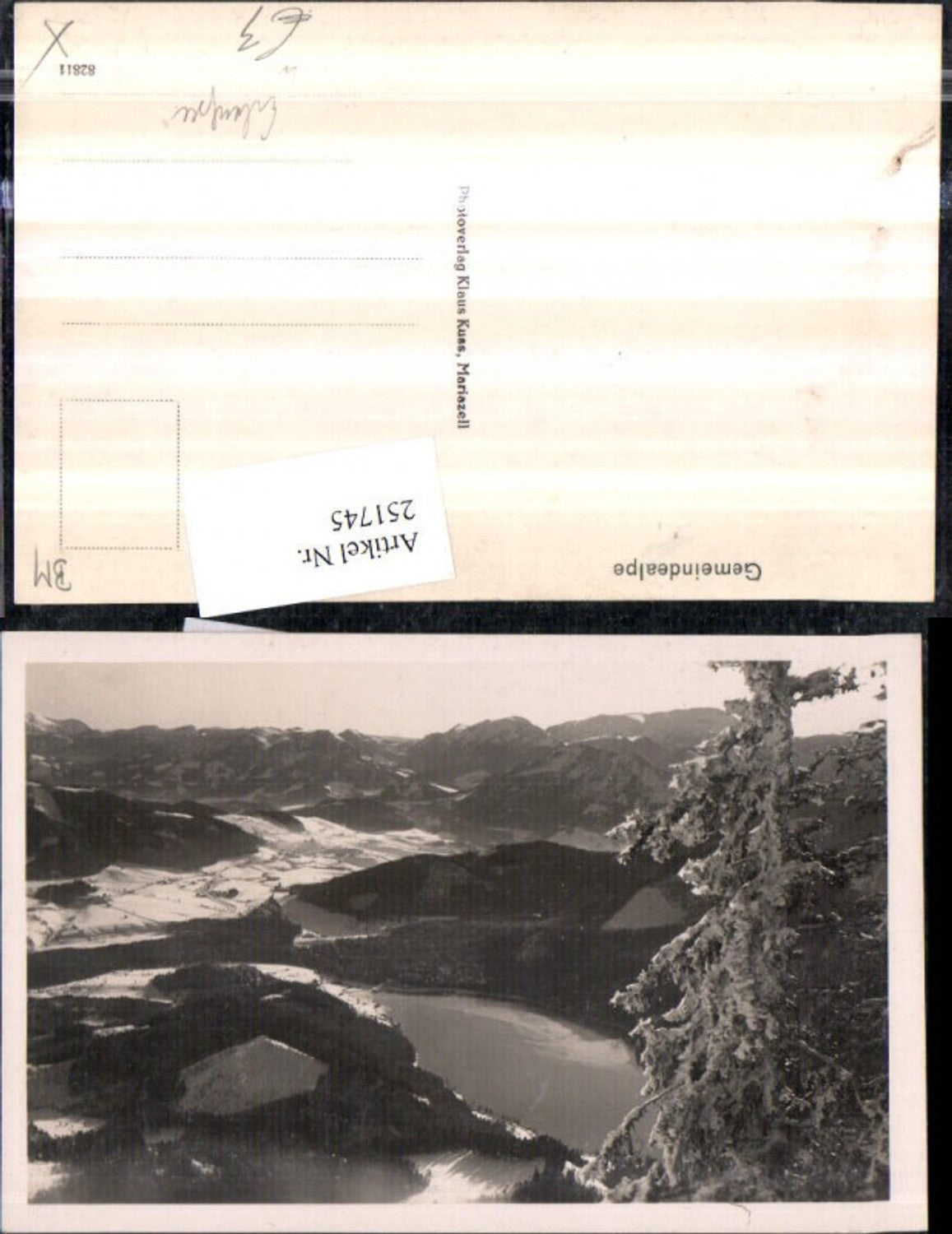 251745,Gemeindealpe Bergkulisse Erlaufsee b. Mitterbach Winterbild