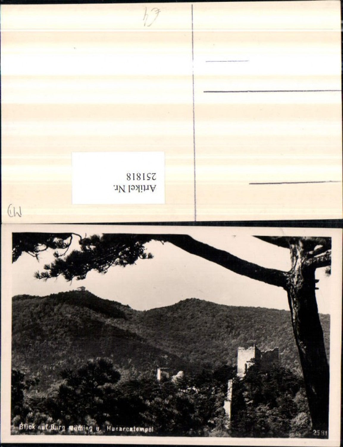 251818,Blick auf Burg Ruine Mödling u. Husarentempel