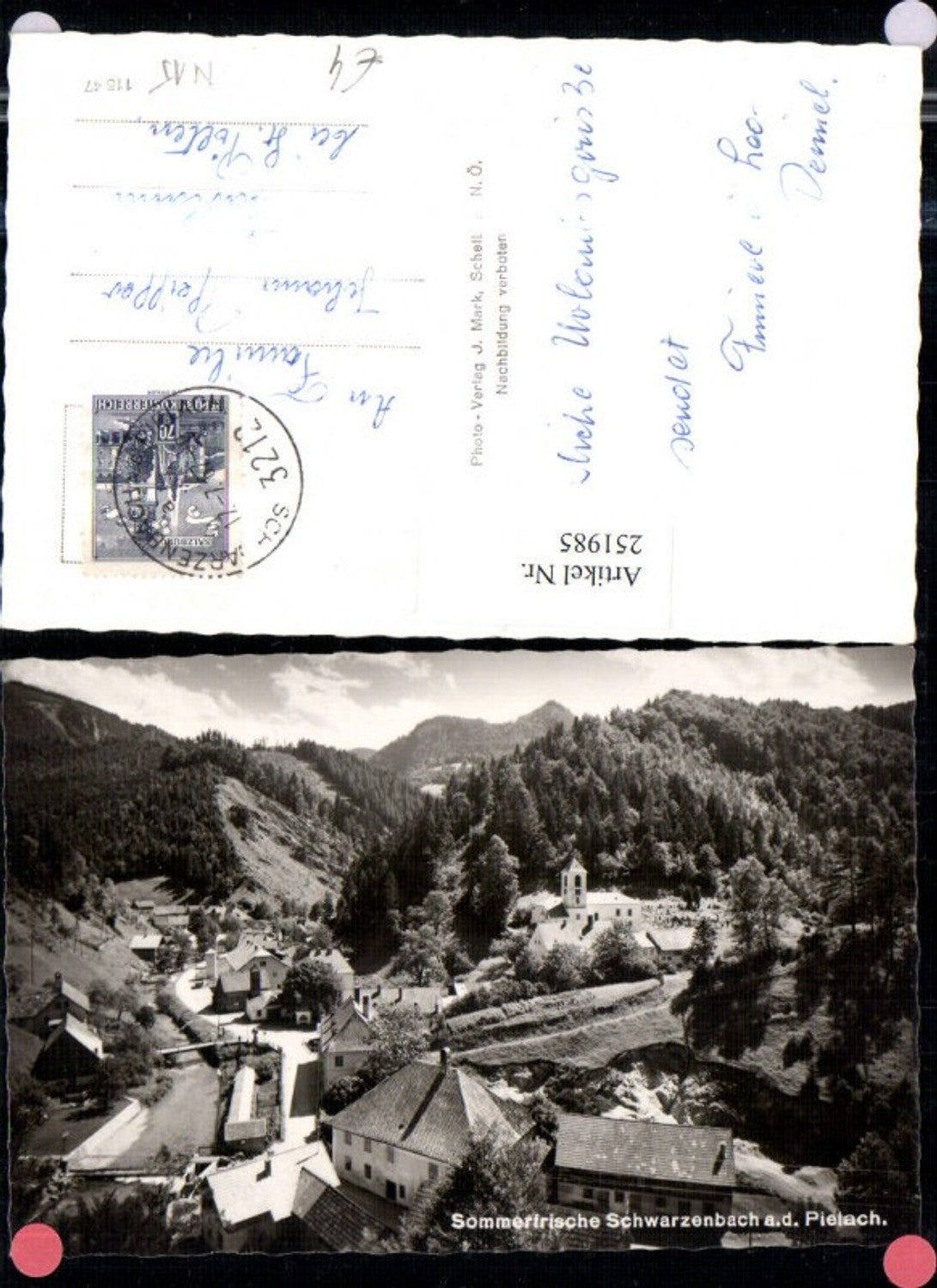 251985,Schwarzenbach an d. Pielach Totale