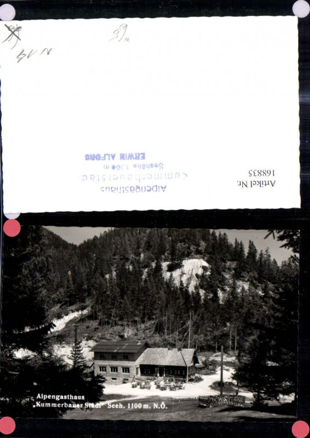 168835,Foto Ak Alpengasthaus Kummerbauer Stadl