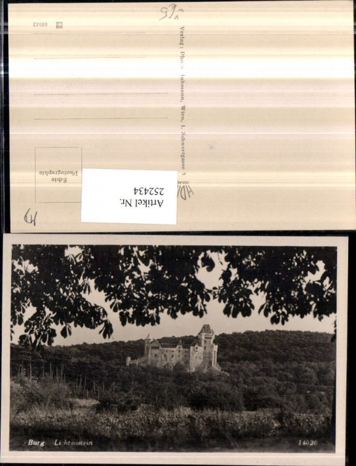 252434,Burg Liechtenstein b. Maria Enzersdorf pub Foto Hubmann 14020