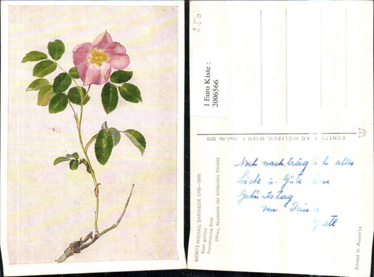 2006566,Künstler AK Moritz Michael Daffinger Rosa gallica Französische Rose