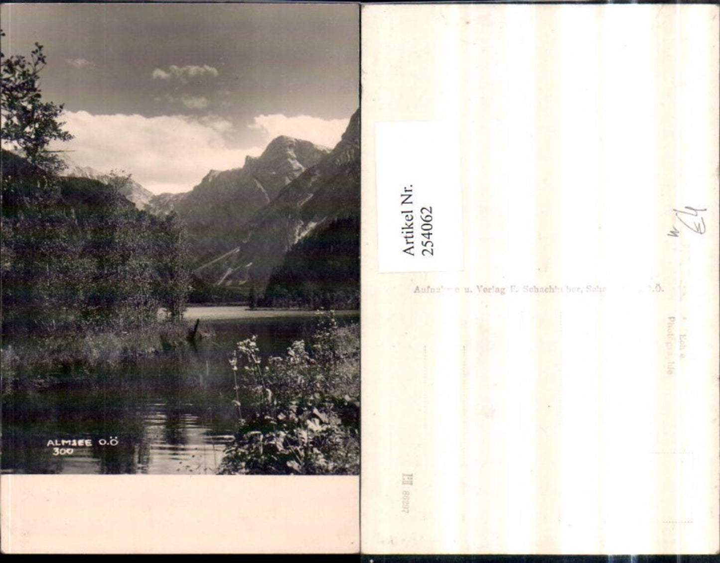 254062,Almsee See Bergkulisse Partie b. Grünau im Almtal