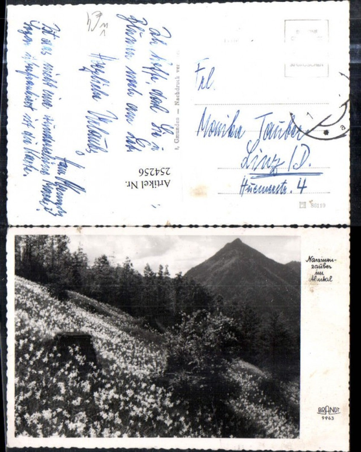 254256,Narzissenzauber im Almtal b. Grünau Narzissenwiese pub F. E. Brandt 9963