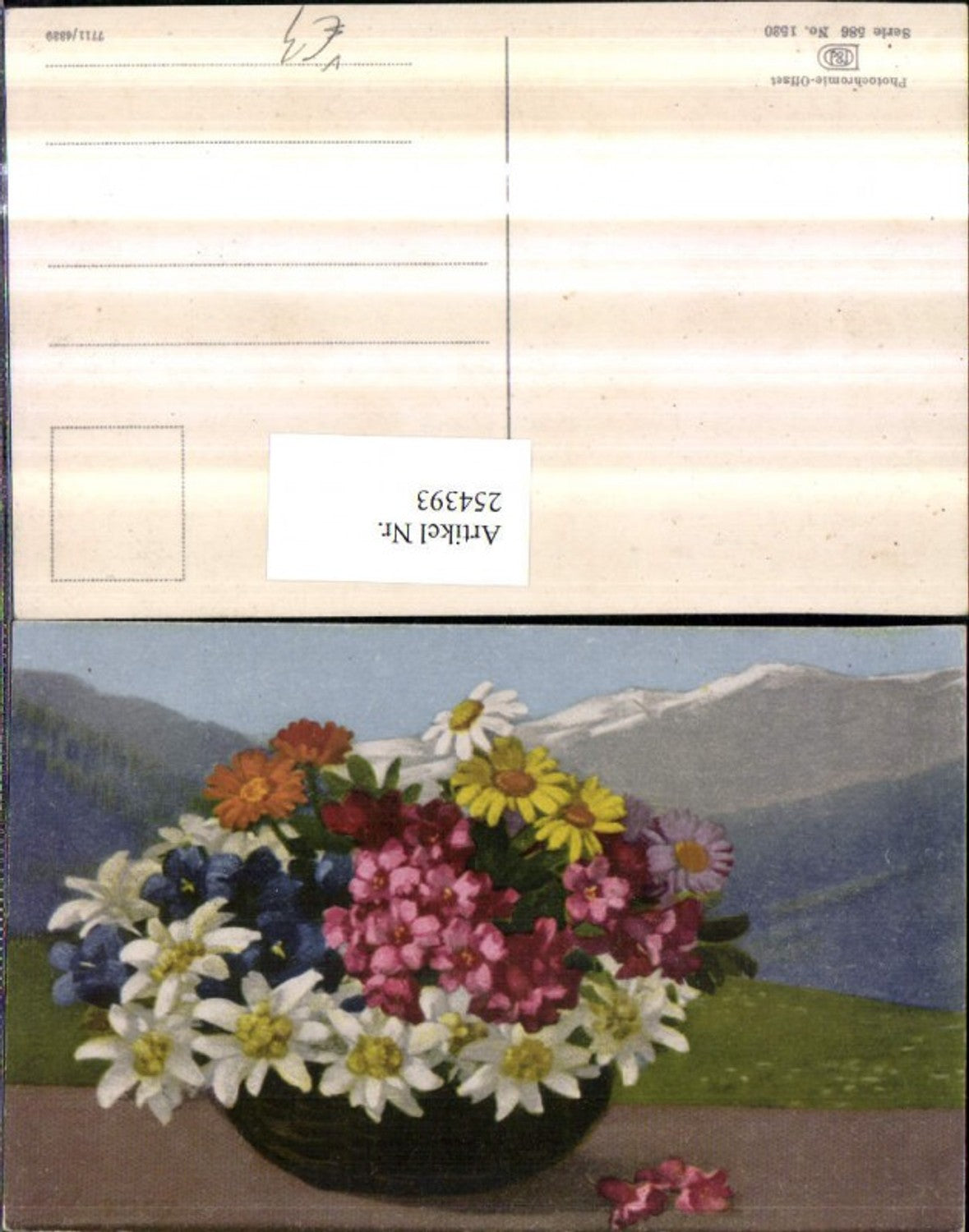254393, Photochromie Nenke & Ostermaier 586/1520 Basket Flowers Alpine Flowers Edelweiss Gentian