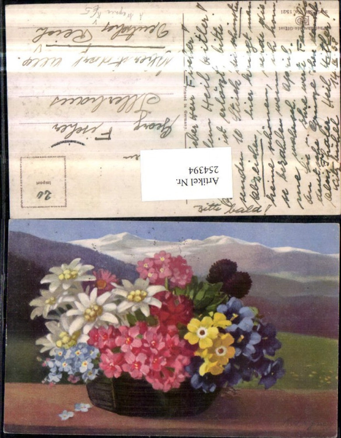 254394,Künstler AK A. Wagner Photochromie Nenke & Ostermaier 586/1521 Korb Blumen Alpenblumen Edelweiß Enzian