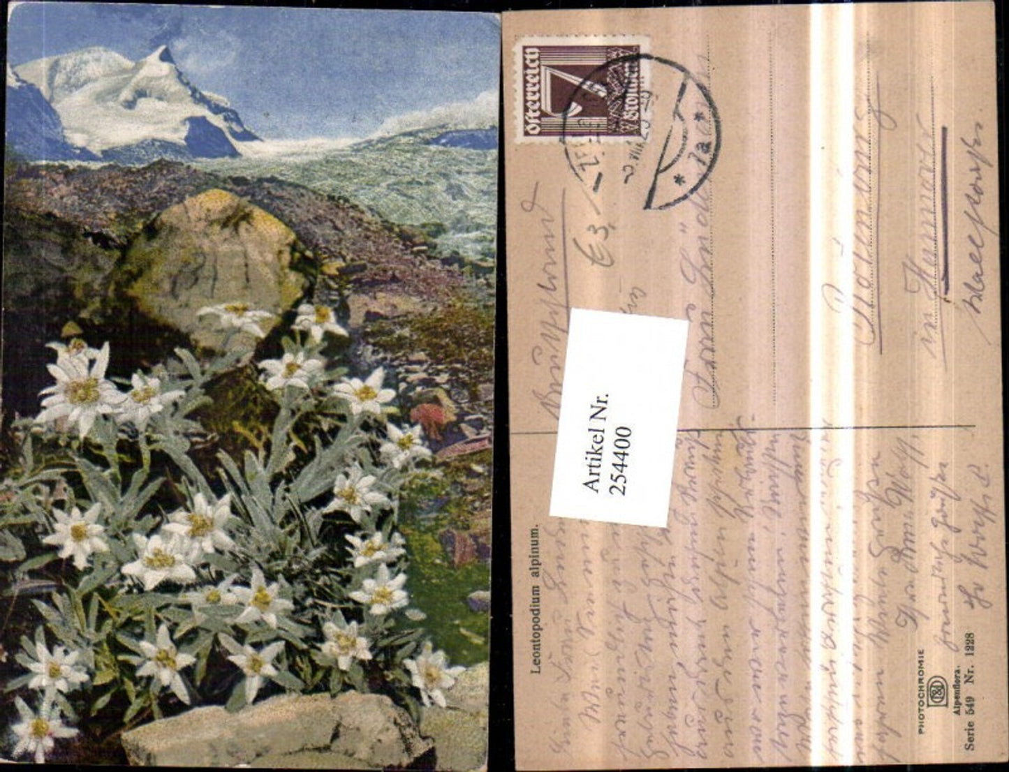 254400,Photochromie Nenke & Ostermaier 549/1228 Leontopodium alpinum Edelweiß Bergkulisse