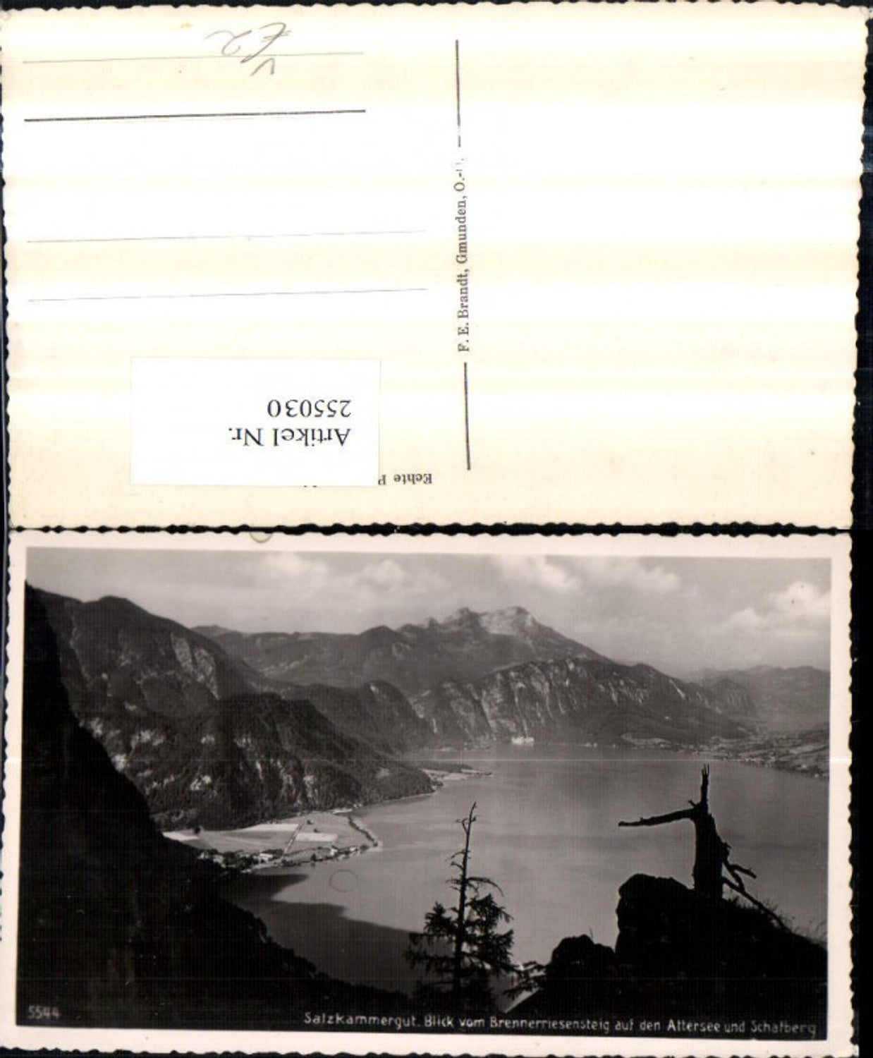 255030,Blick vom Brennerriesensteig auf d. Attersee u. Schafberg Bergkulisse pub F. E. Brandt 5544