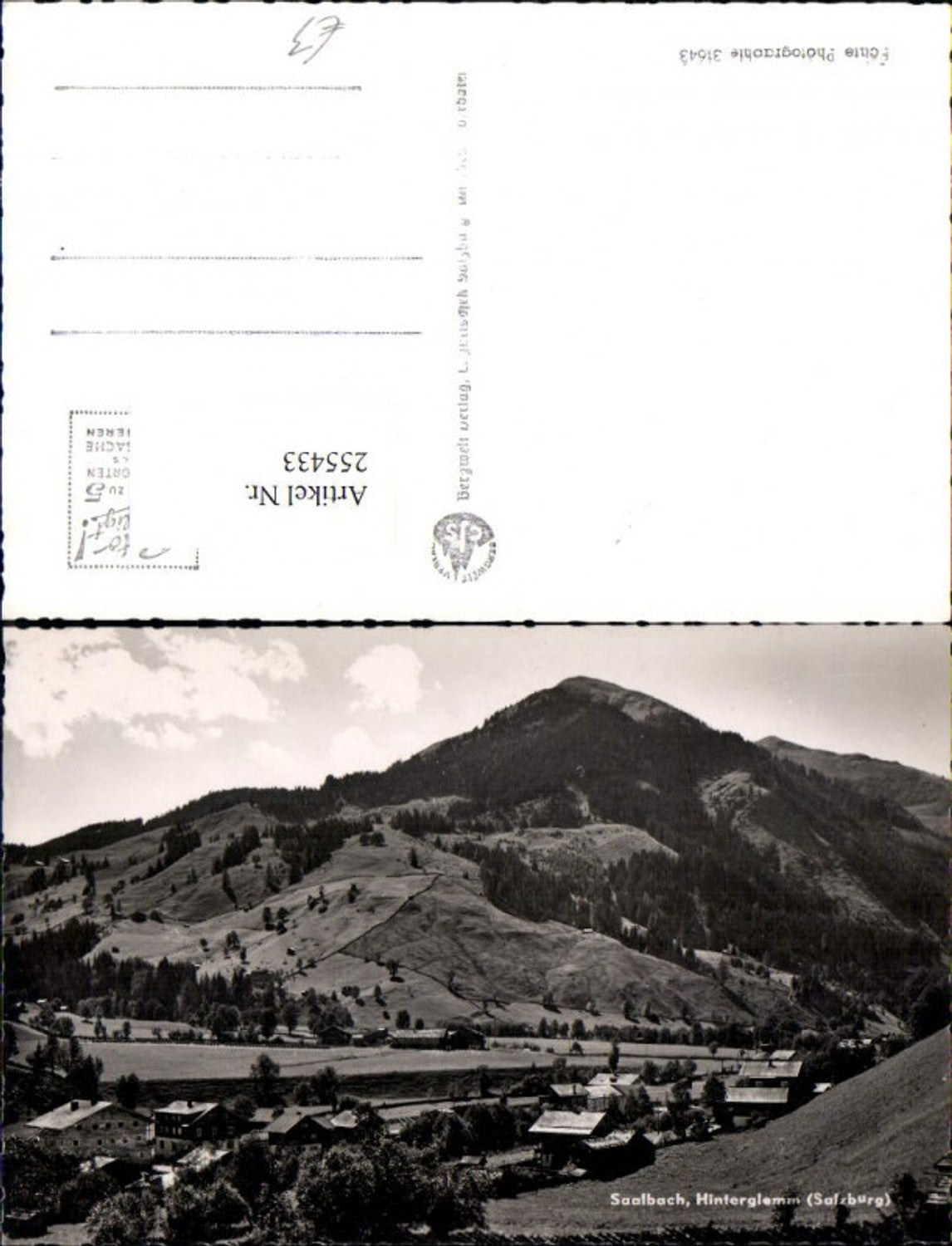 255433,Saalbach Hinterglemm Teilansicht