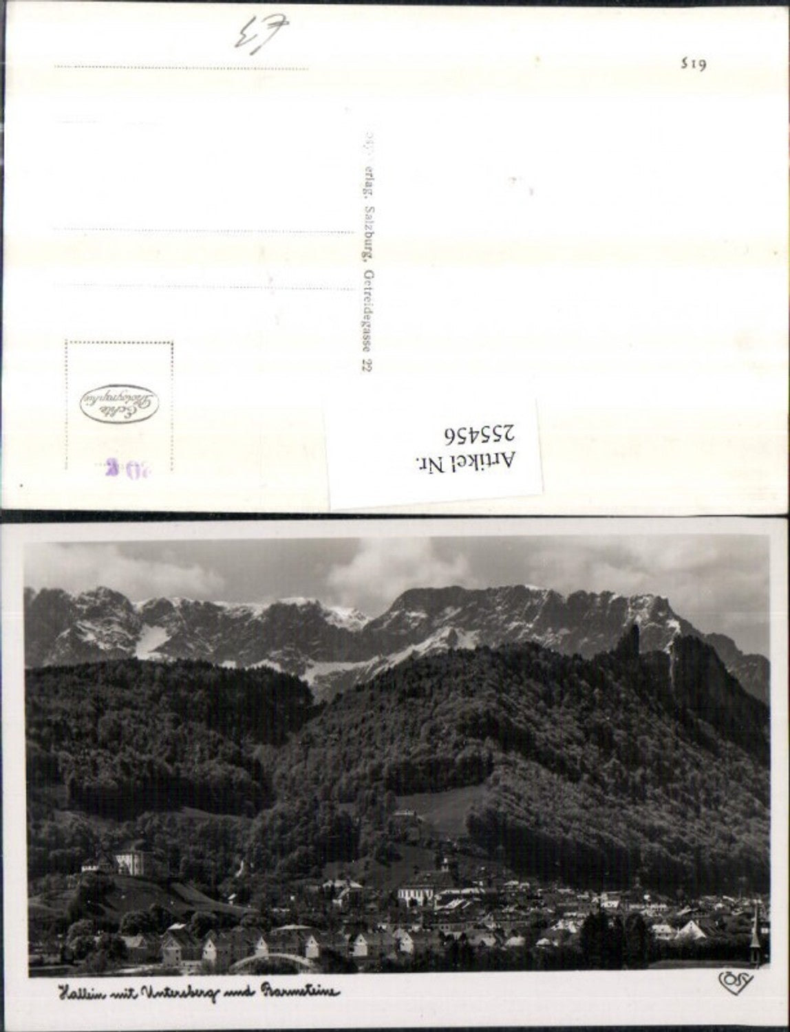 255456, Hallein Totale with Untersberg and Barmsteine mountain scenery pub Cosy