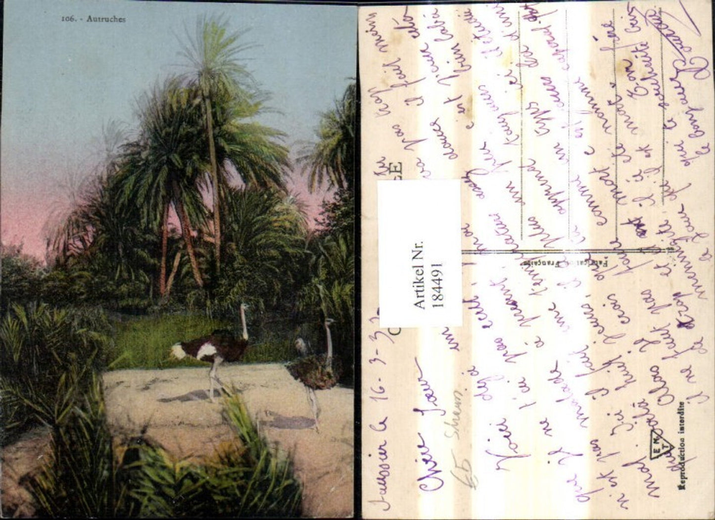 Alte Ansichtskarte – Old Postcard