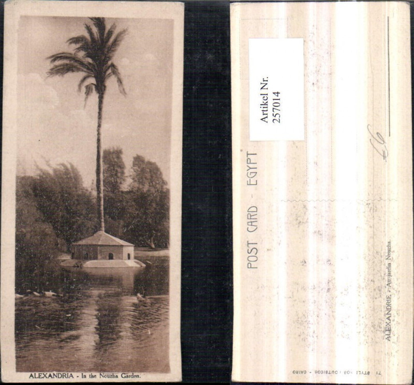 257014,Alexandria In the Nouzha Garden Garten Palme Partie