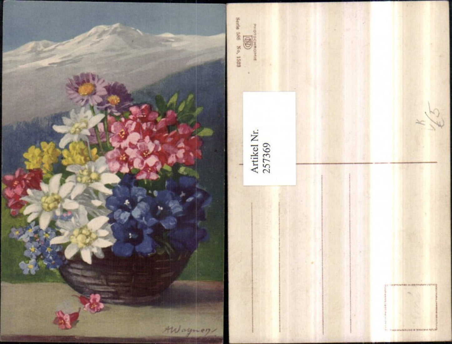 257369,Künstler AK A. Wagner Korb Blumen Edelweiß Enzian pub Photochromie Nenke u. Ostermaier 586/1523