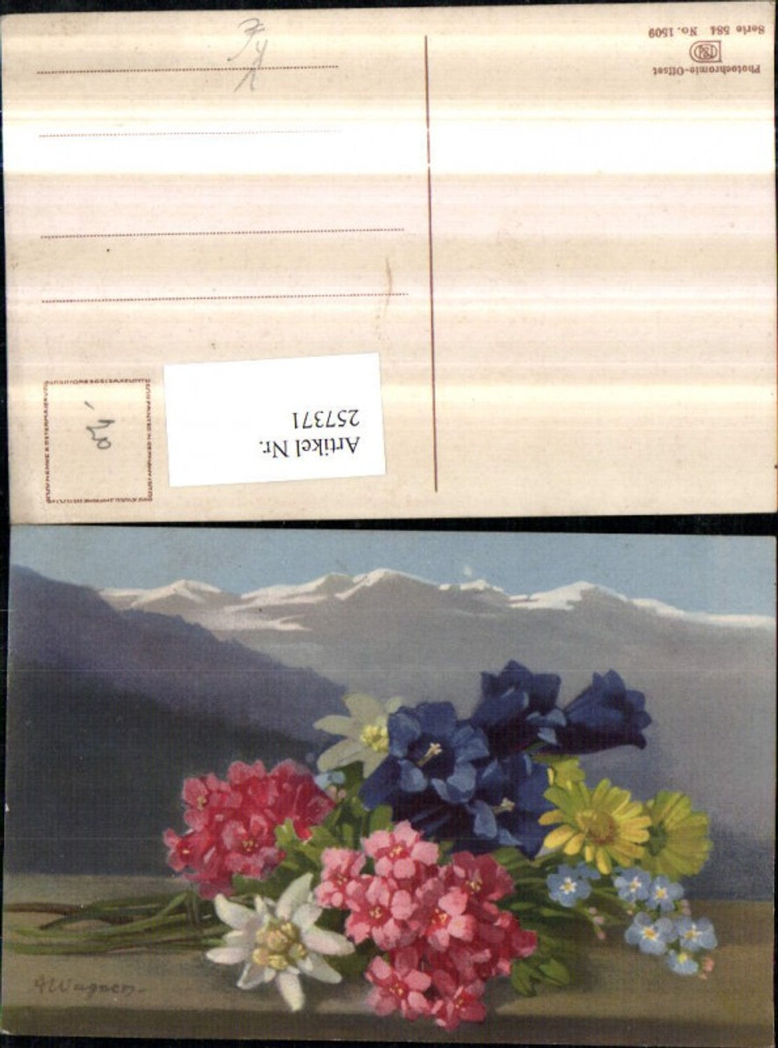 257371, Artist AK A. Wagner Flowers Gentian Edelweiss pub Photochromie Nenke & Ostermaier 584/1509