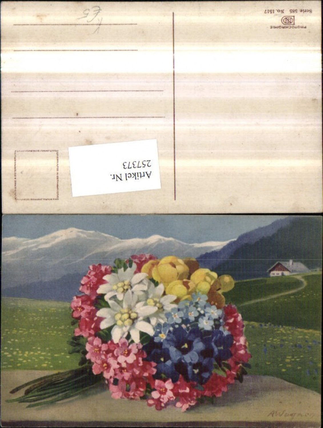 257373, Artist AK A. Wagner Edelweiss Gentian Ranunculus pub Photochromie Nenke u. Ostermaier 585/1517