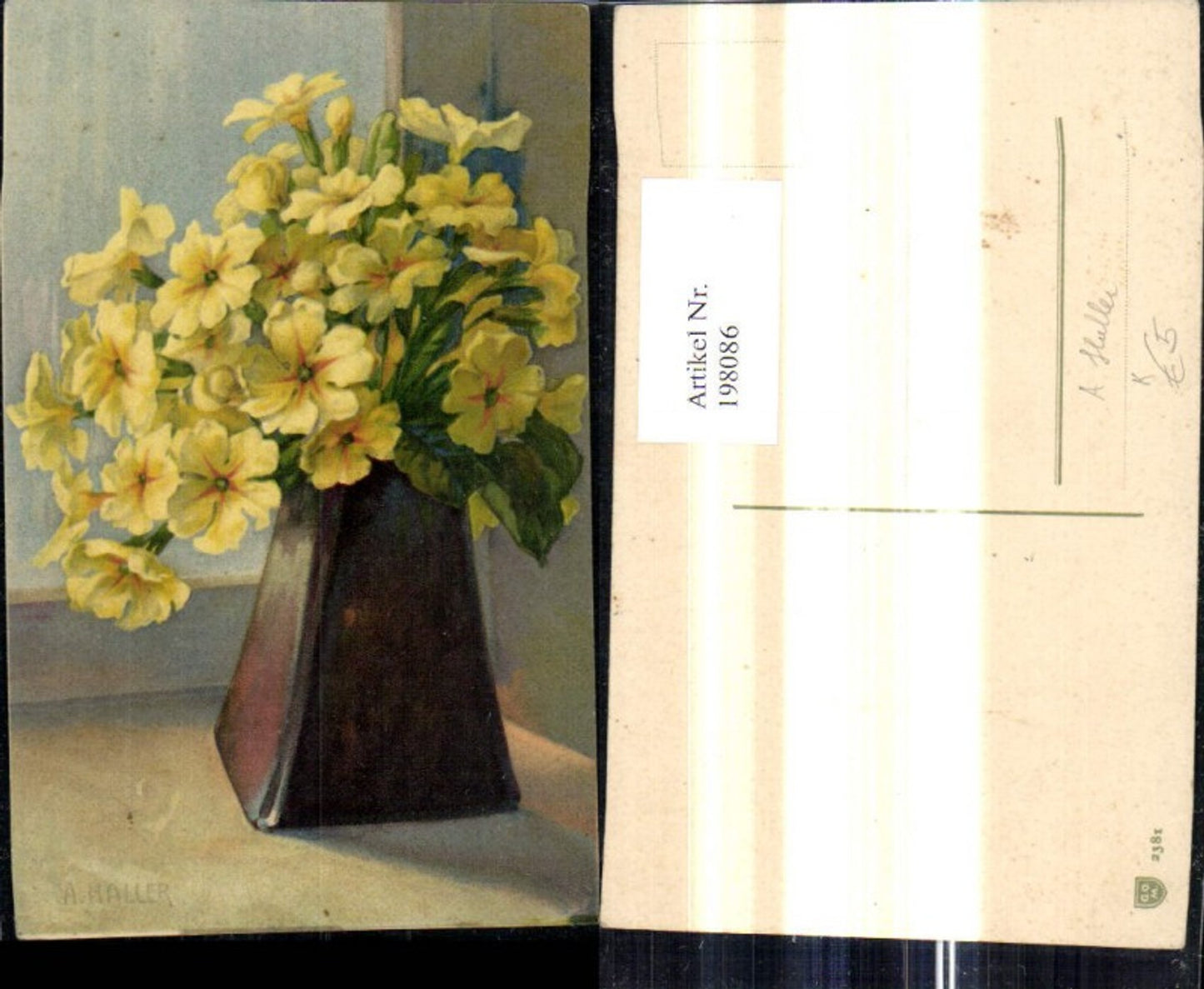 198086,Künstler Ak A. Haller Blumenvase Blumen Vase a. Fenster