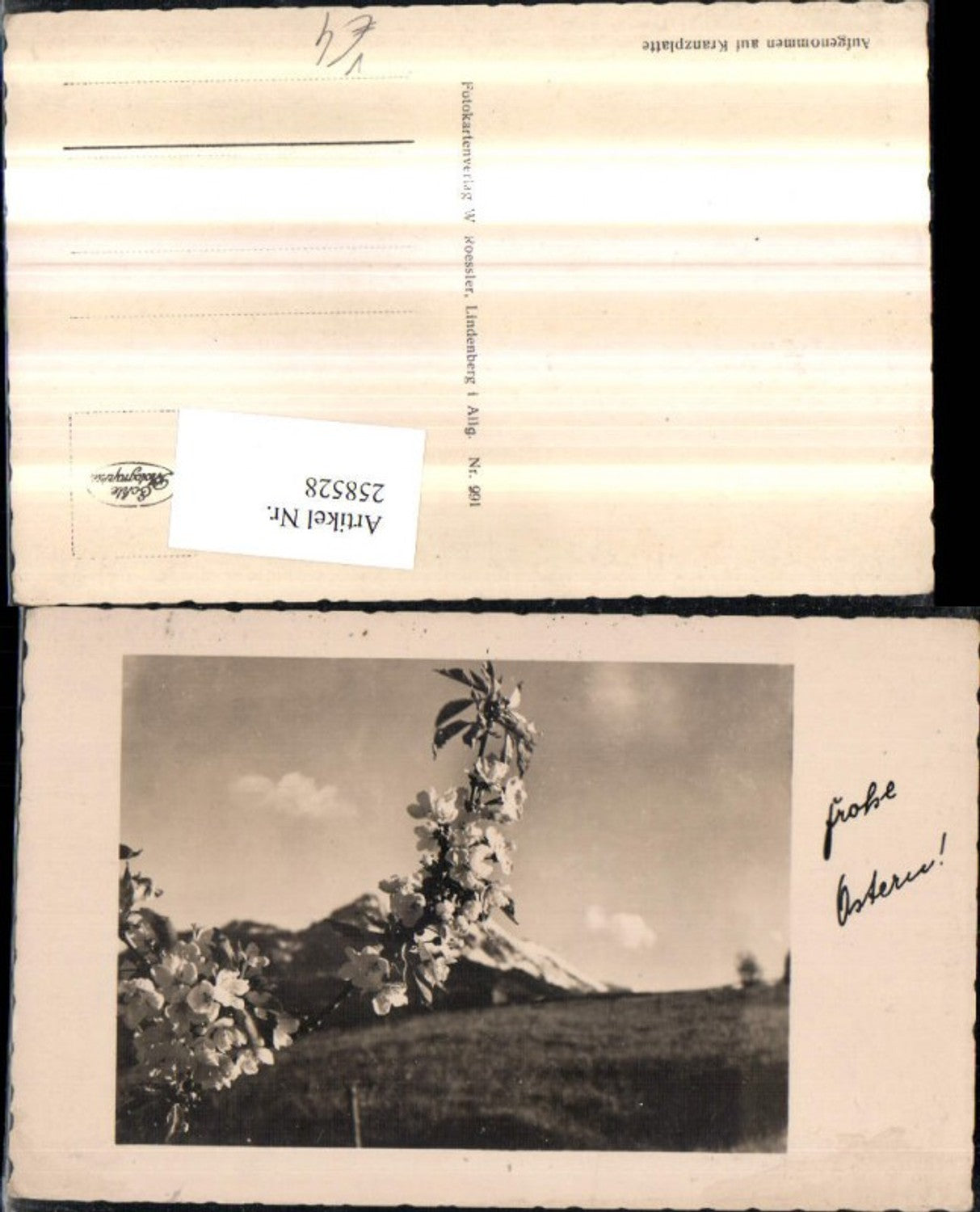 258528,Ostern Baumblütenzweig Blüten Bergkulisse pub W. Roessler 991