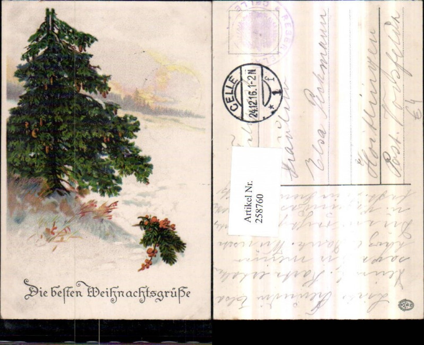 258760, Christmas Winter Landscape Fir Tree Cones