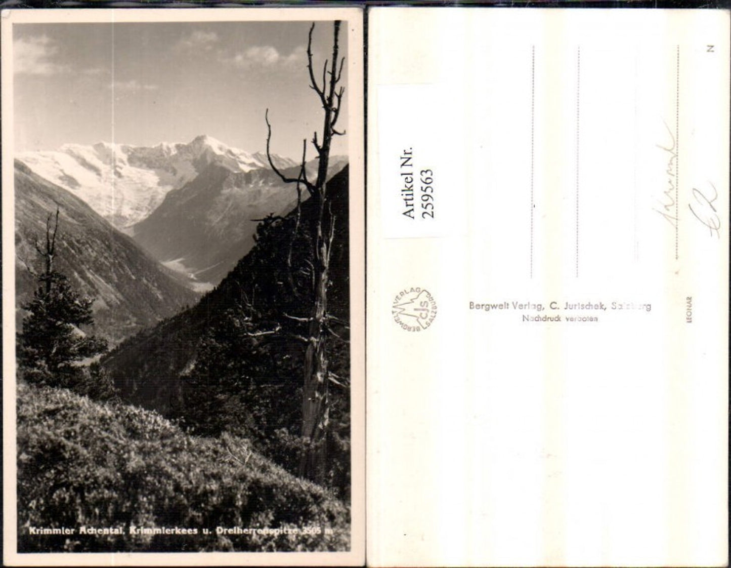 259563,Krimmler Achental Krimmlerkees u. Dreiherrenspitze Bergkulisse b. Krimml