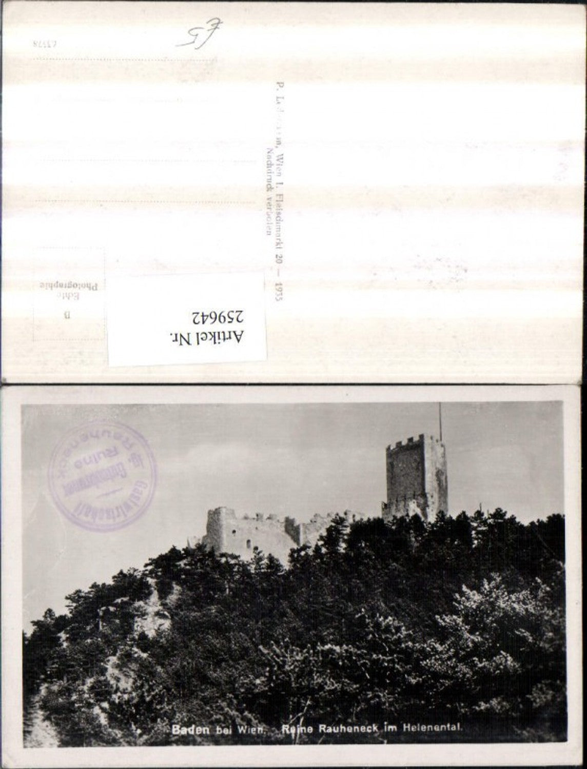 259642,Baden b. Wien Ruine Rauheneck im Helenental