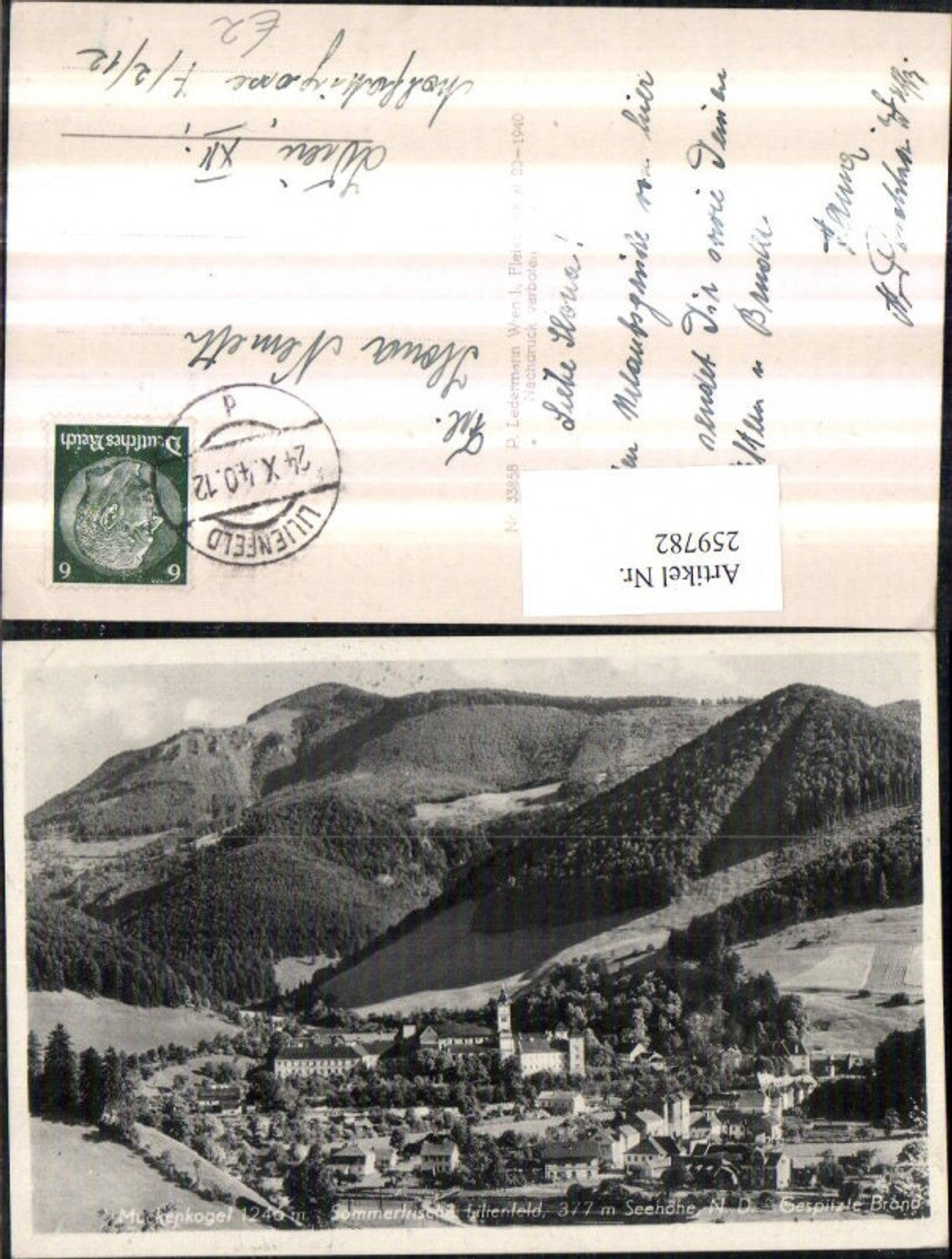 259782,Lilienfeld Totale m. Stift Muckenkogel u. Gespitzte Brand