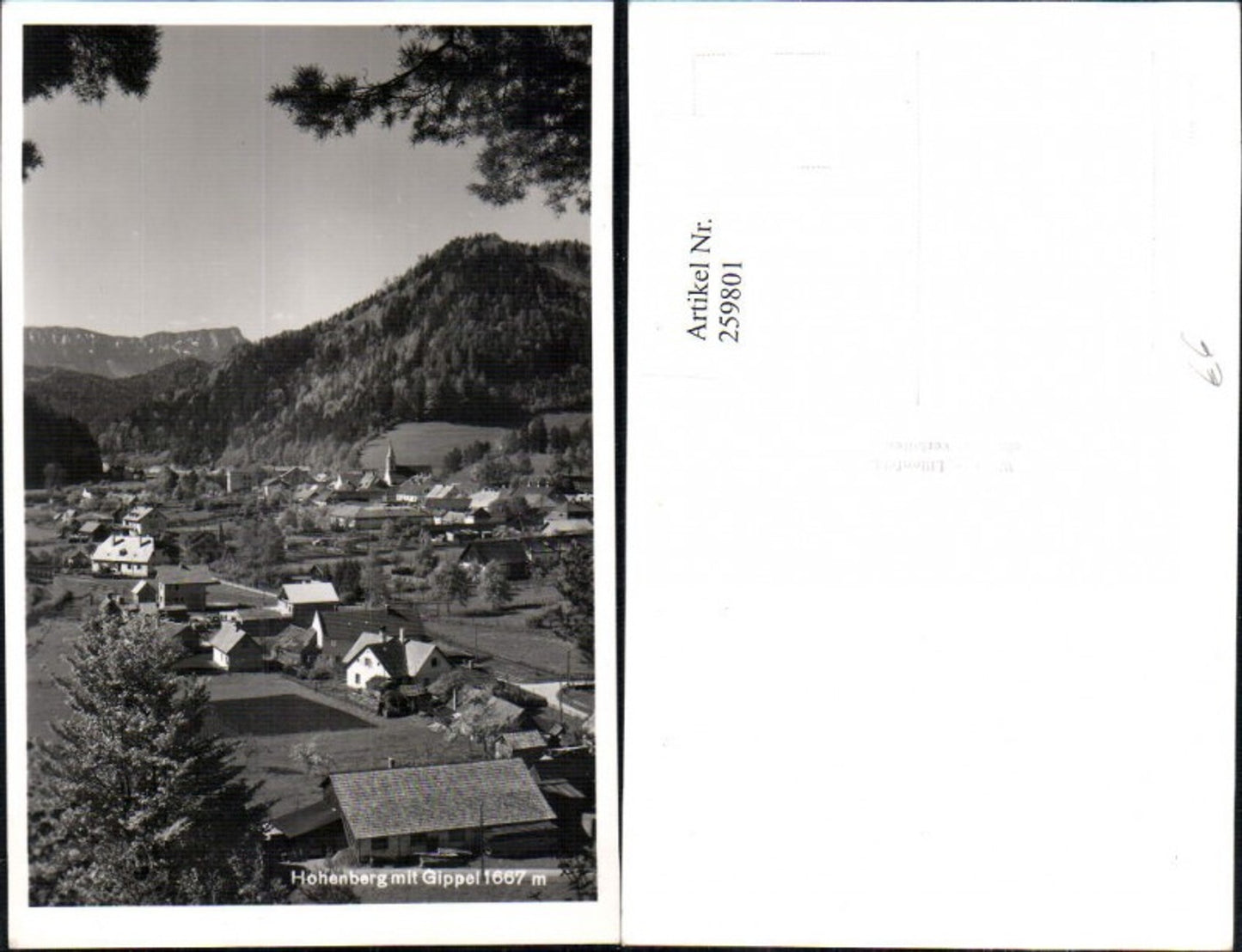 259801,Hohenberg Totale m. Gippel