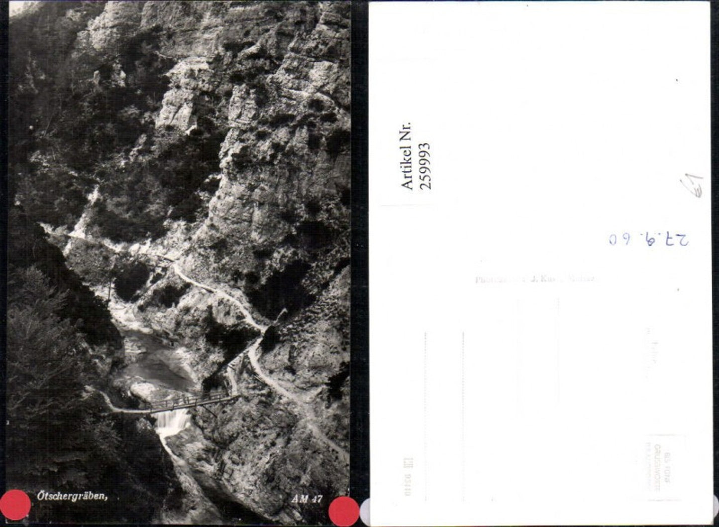 259993,Ötschergräben b. Mitterbach Partie