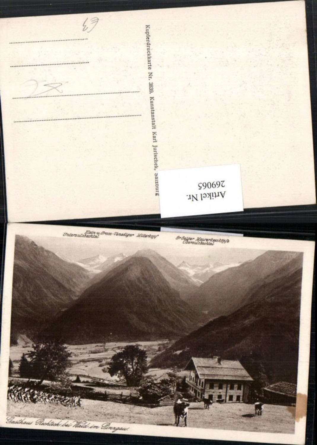 269065,Gasthaus Rechteck b. Wald im Pinzgau Bergkulisse