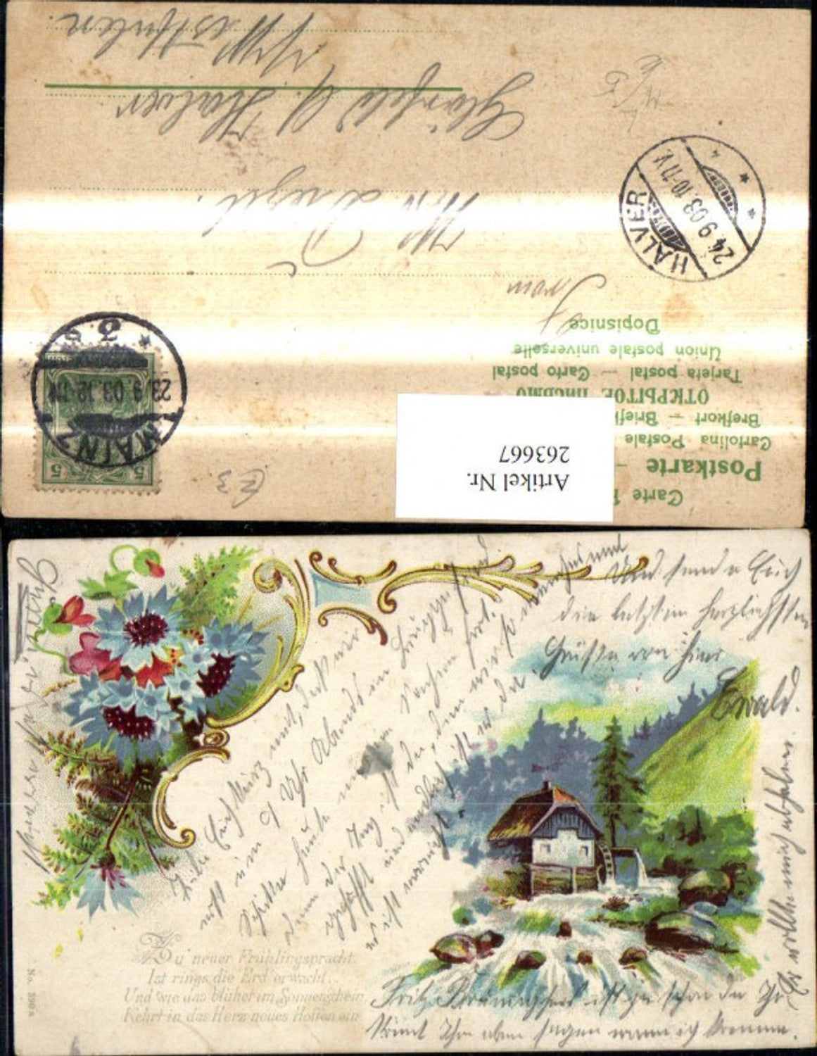 263667, Lithograph Watermill Mill Flowers Cornflowers Saying Text