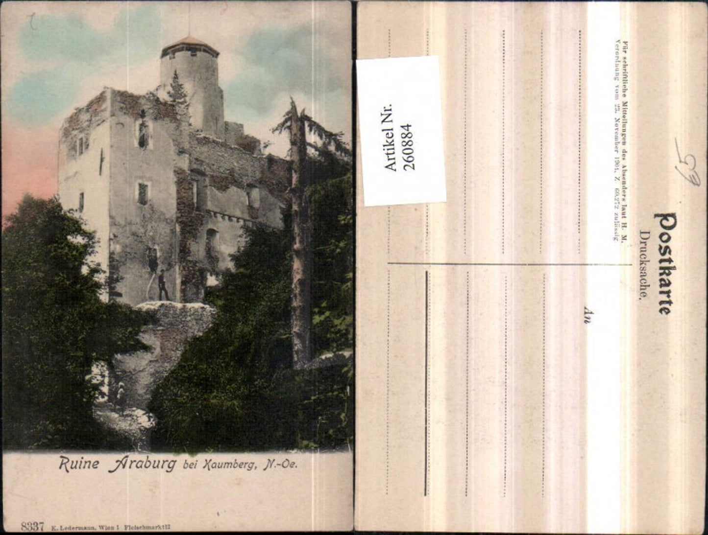 260884,Ruine Araburg b. Kaumberg