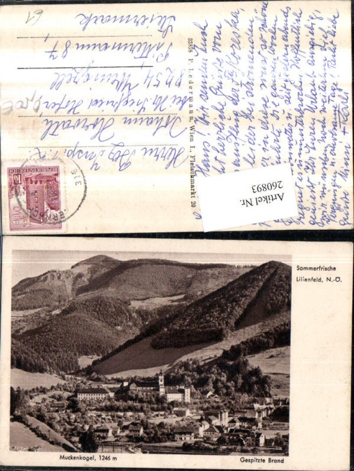 260893,Lilienfeld Teilansicht Stift m. Muckenkogel