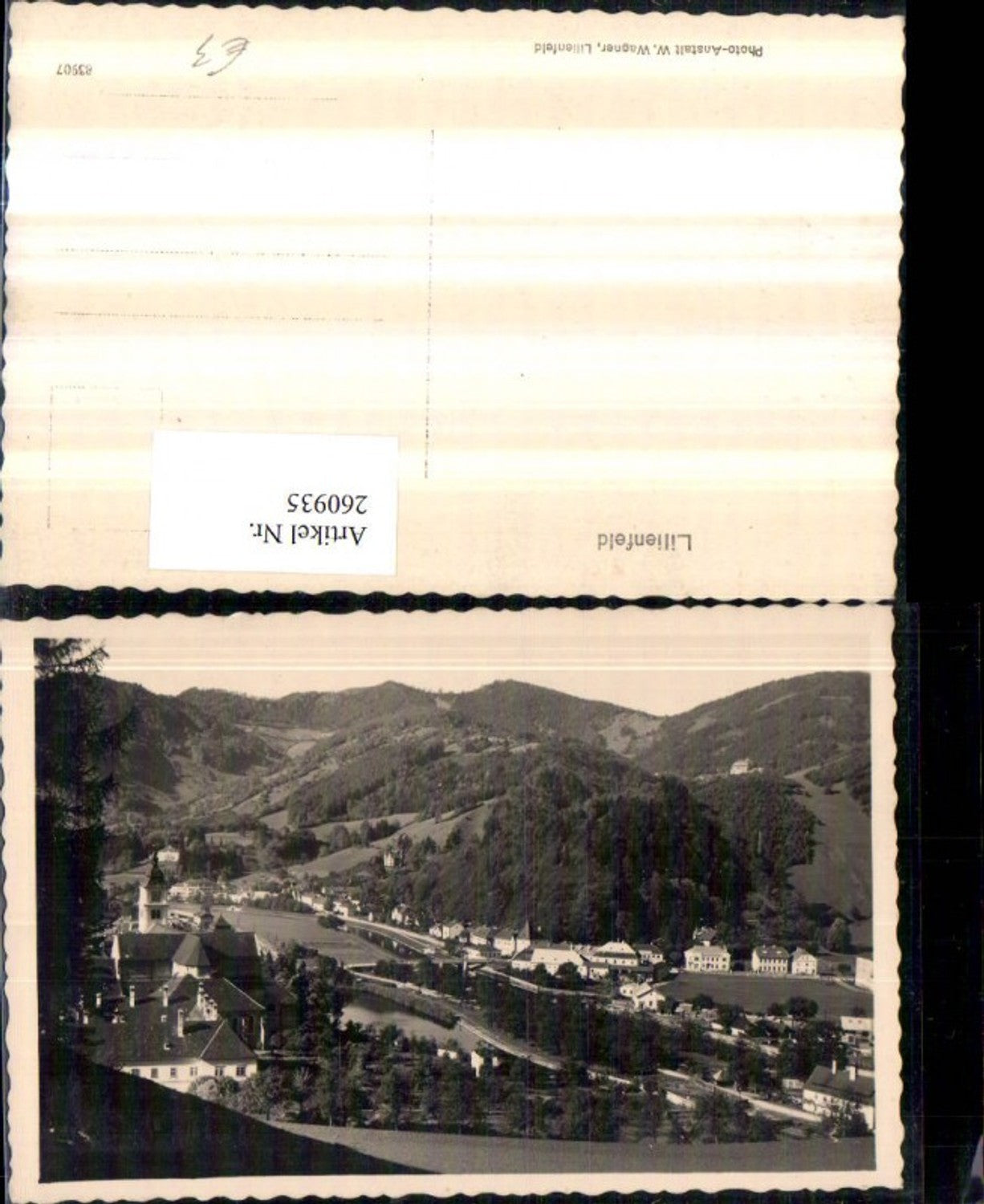 260935,Lilienfeld Totale m. Stift