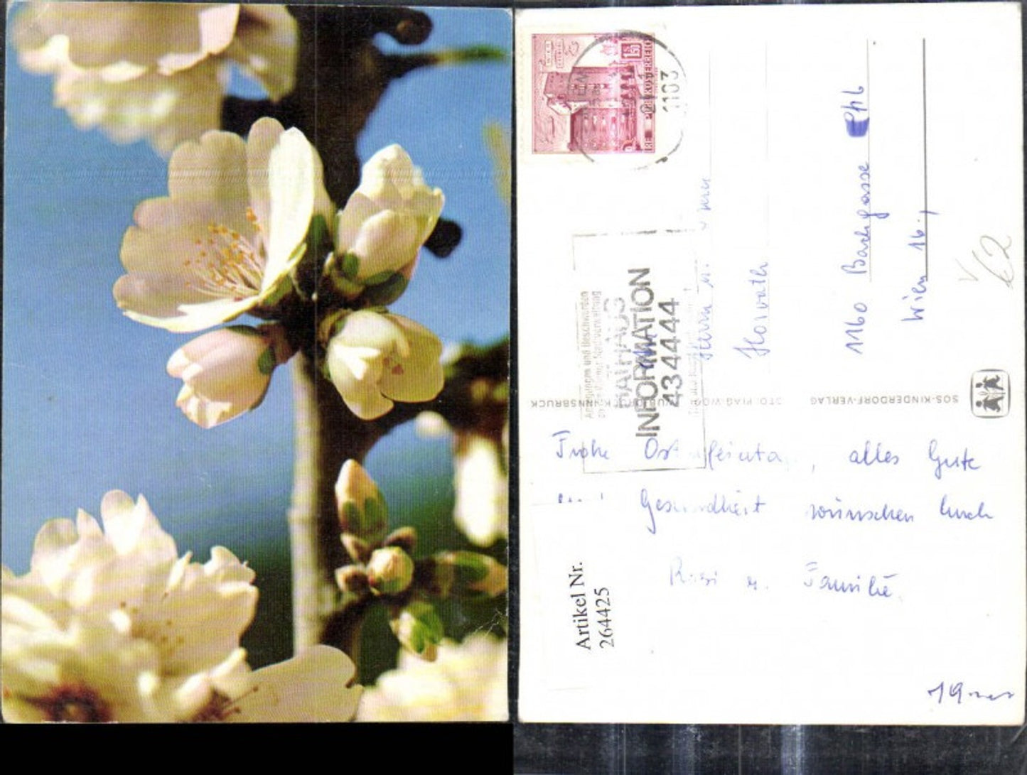 264425, SOS Children's Village Tree Blossom Blossom Detail View