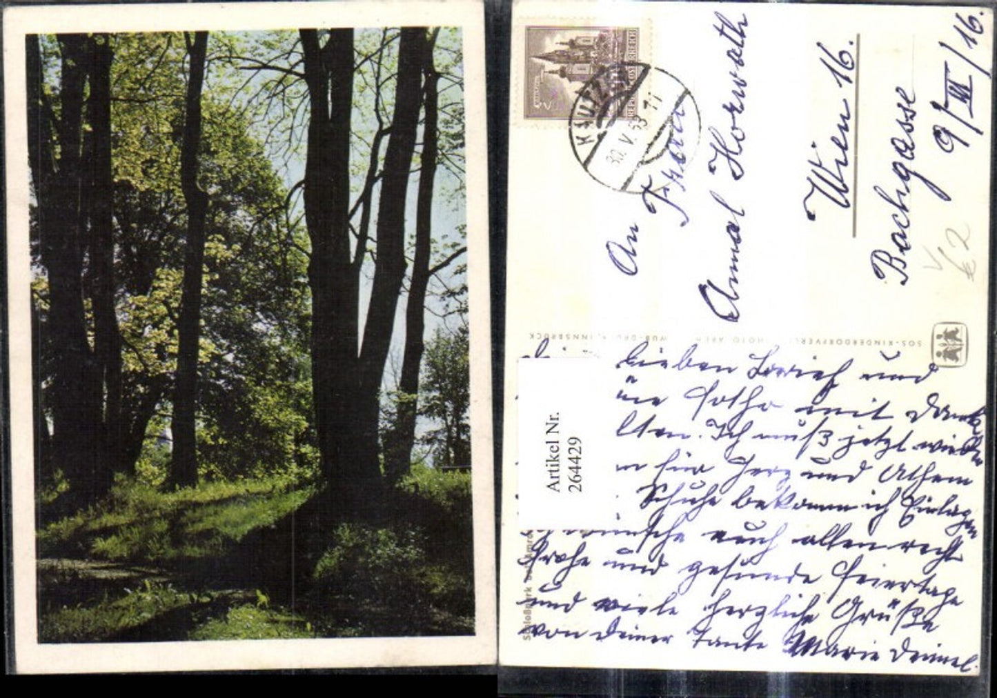 264429,SOS Kinderdorf Schloßpark b. Amras Innsbruck Wald Bäume