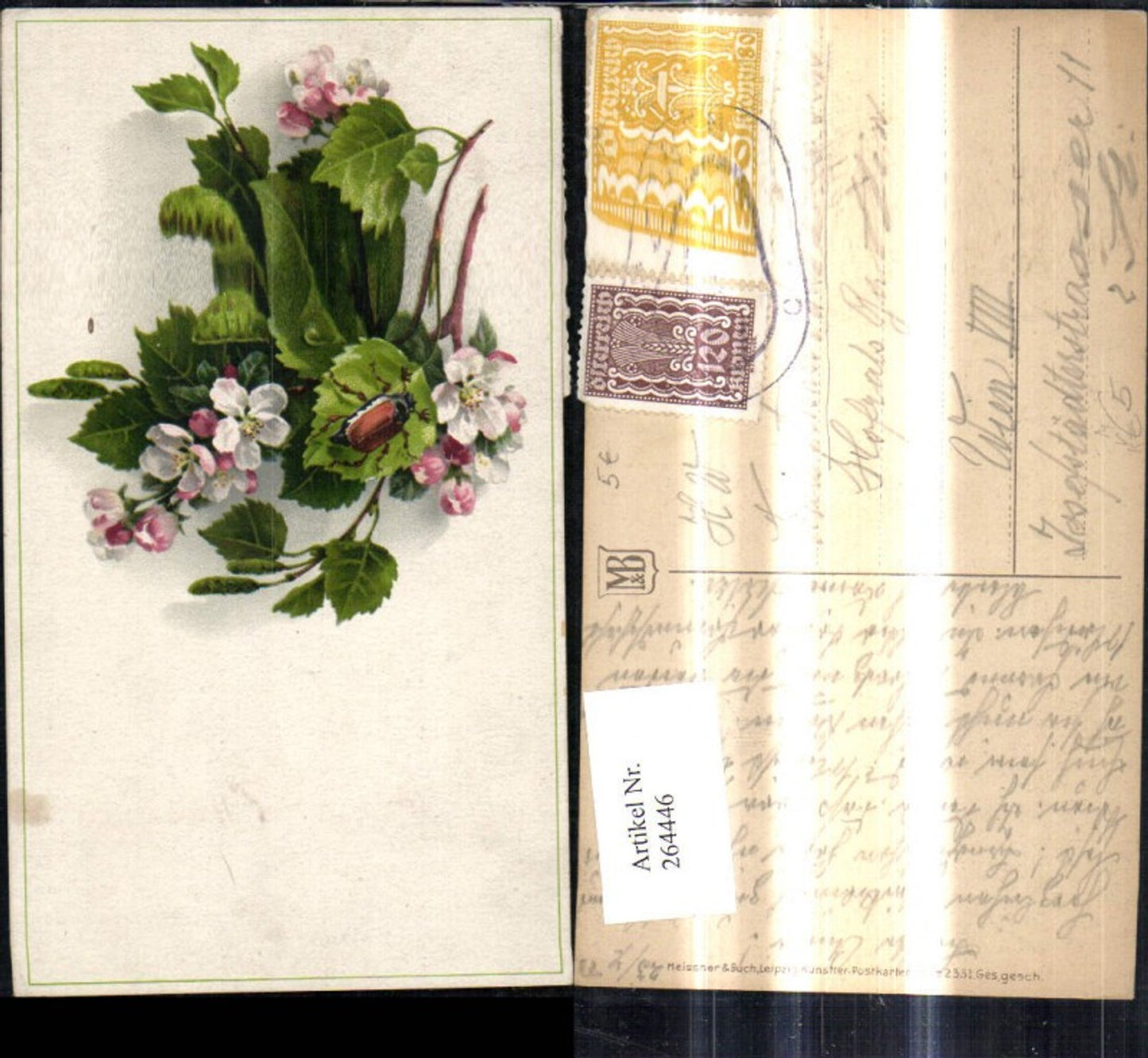 264446,Künstler Ak Meissner & Buch 2331 Birken Apfel Zweig Käfer Junikäfer
