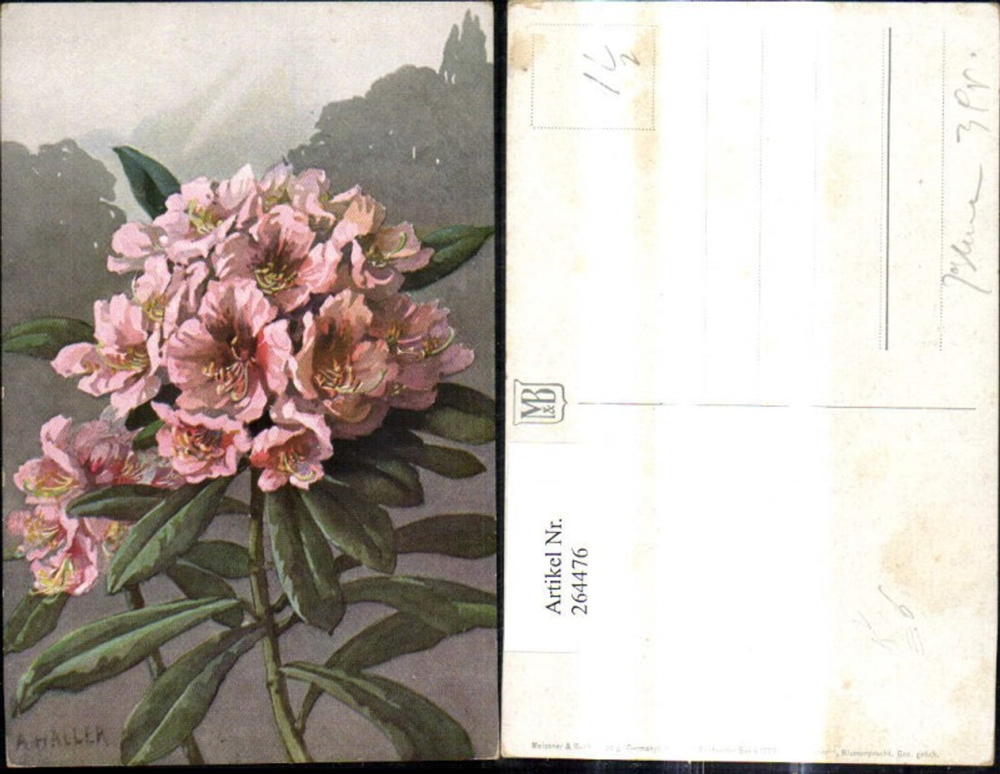 264476,Künstler Ak Meissner & Buch 1779 Blumenpracht Oleander Blüte Blume