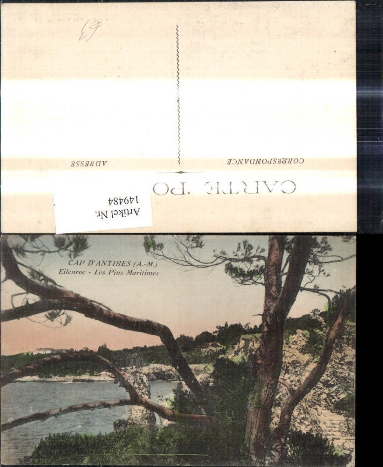 149484,Cap D Antibes Eilenroc Les Pins Maritimes Küste Bäume