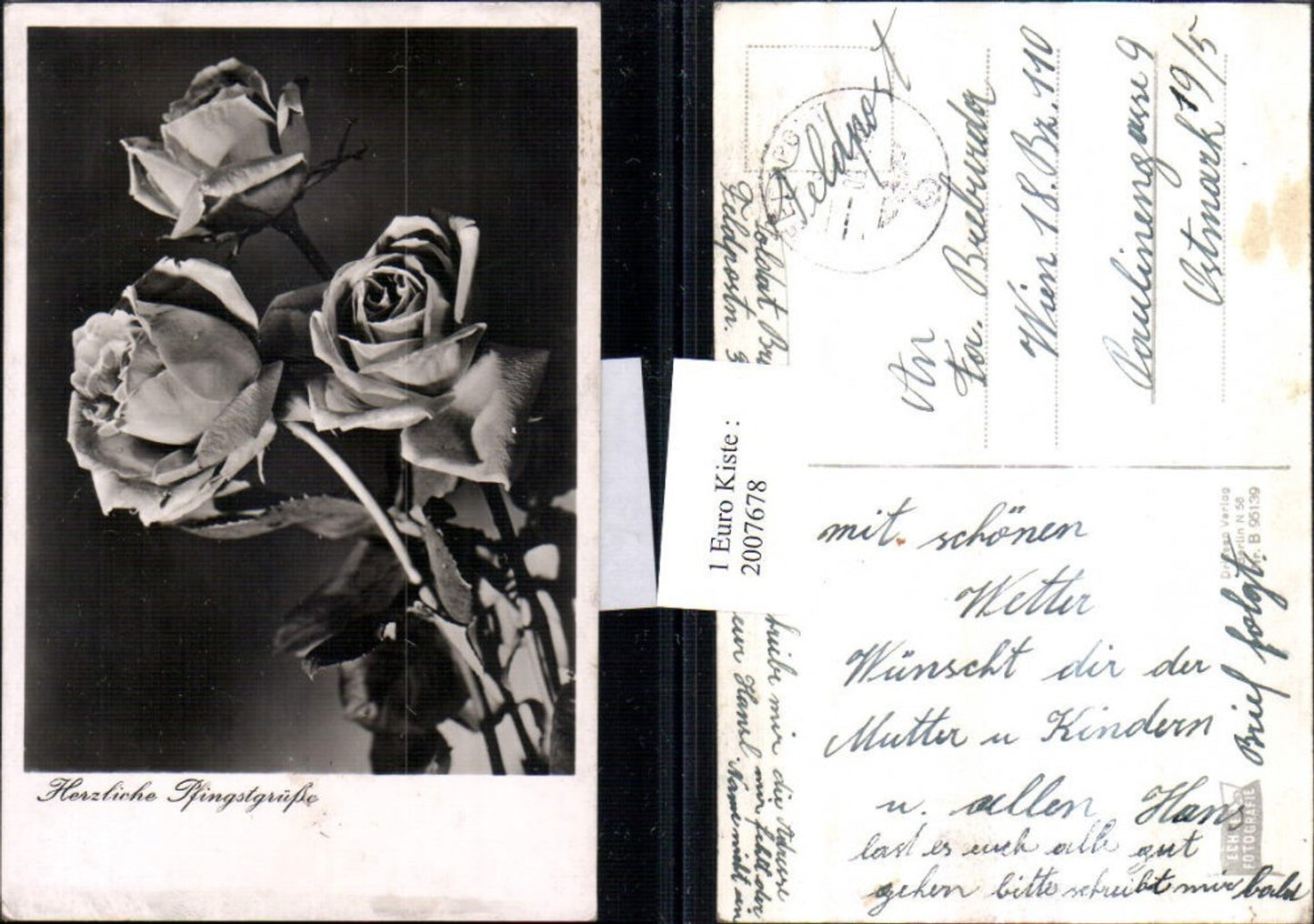 2007678,Pfingsten Rosen Rosenblüte