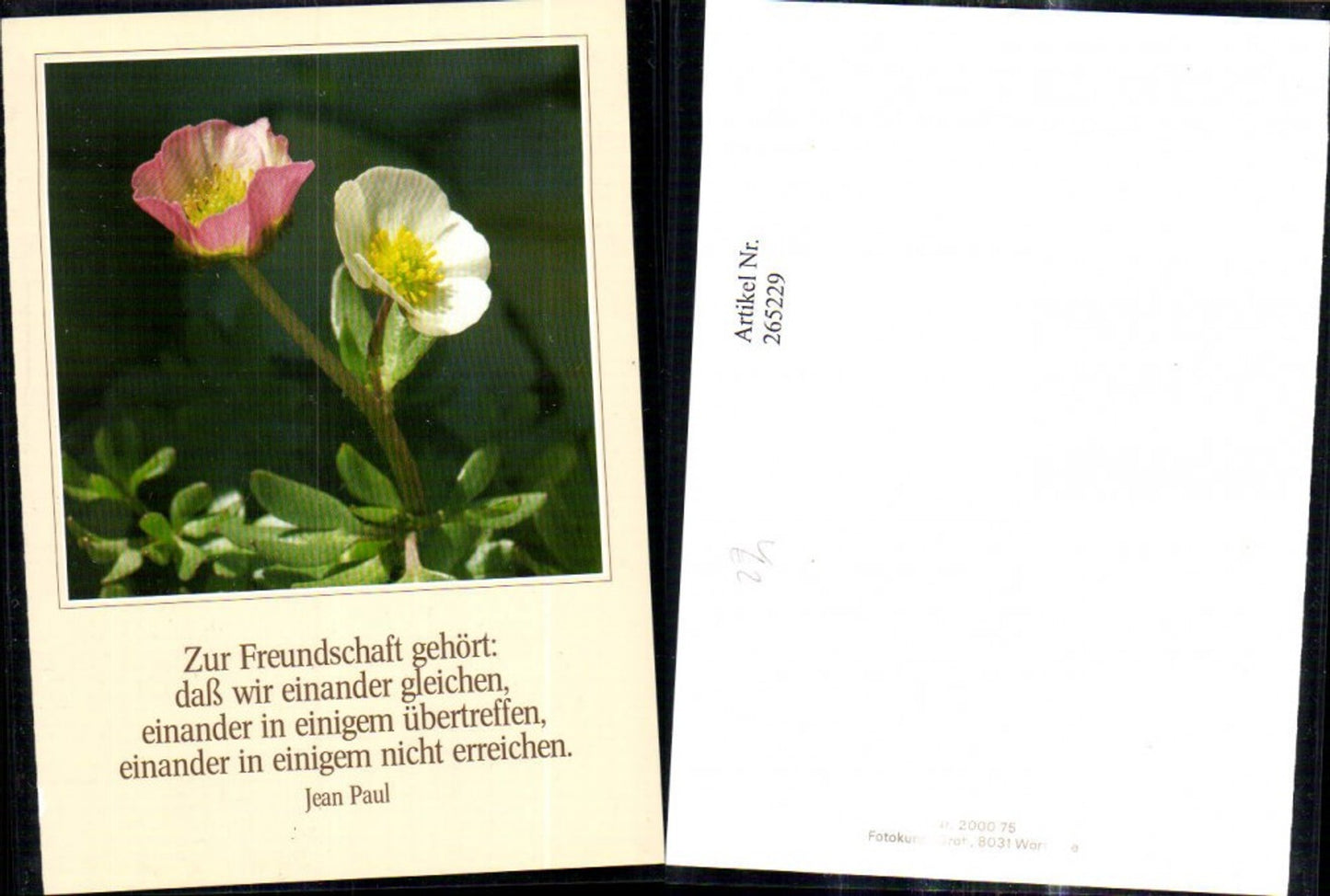 265229,Fotokunst Groh 200075 Schneerose Blume Spruch Jean Paul