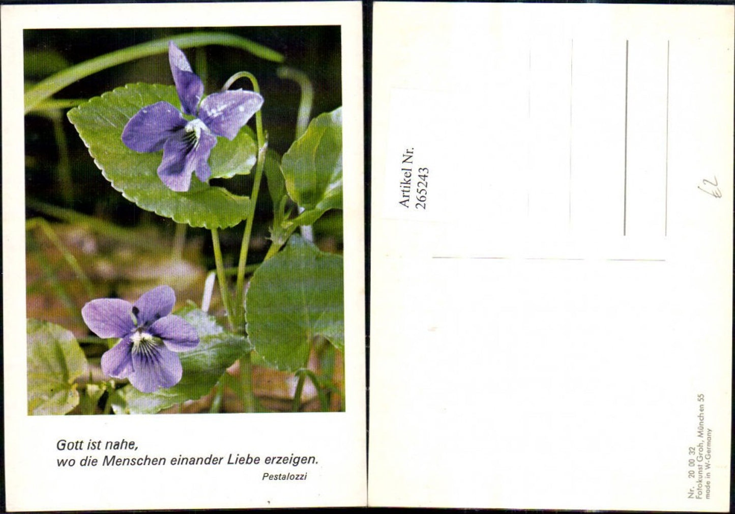 265243,Fotokunst Groh 200032 Veilchen Blumen Spruch Pestalozzi