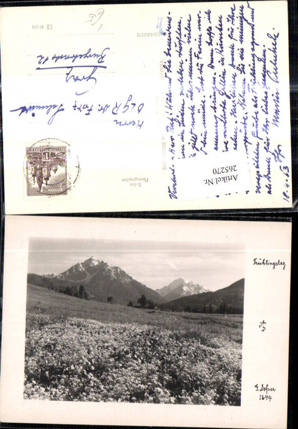 265270,Photographic Art Dr. Defner 1644 Flower Meadow Mountain Scenery Spring Day