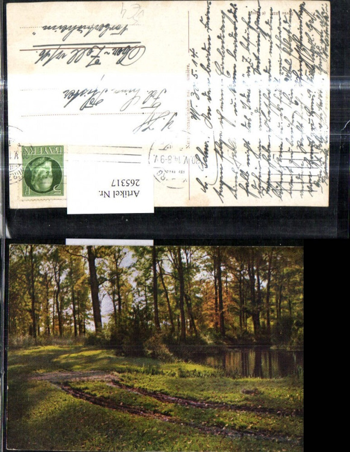 265317,Theo Stroefer 323/6 Künstler Ak Teich i. Wald Landschaft Weg