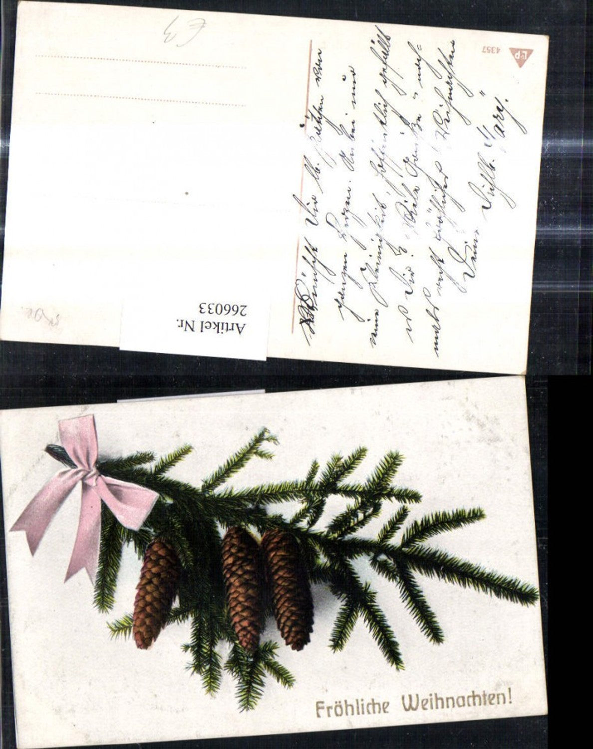 266033, Artist Ak Christmas Fir branch Cone Bow