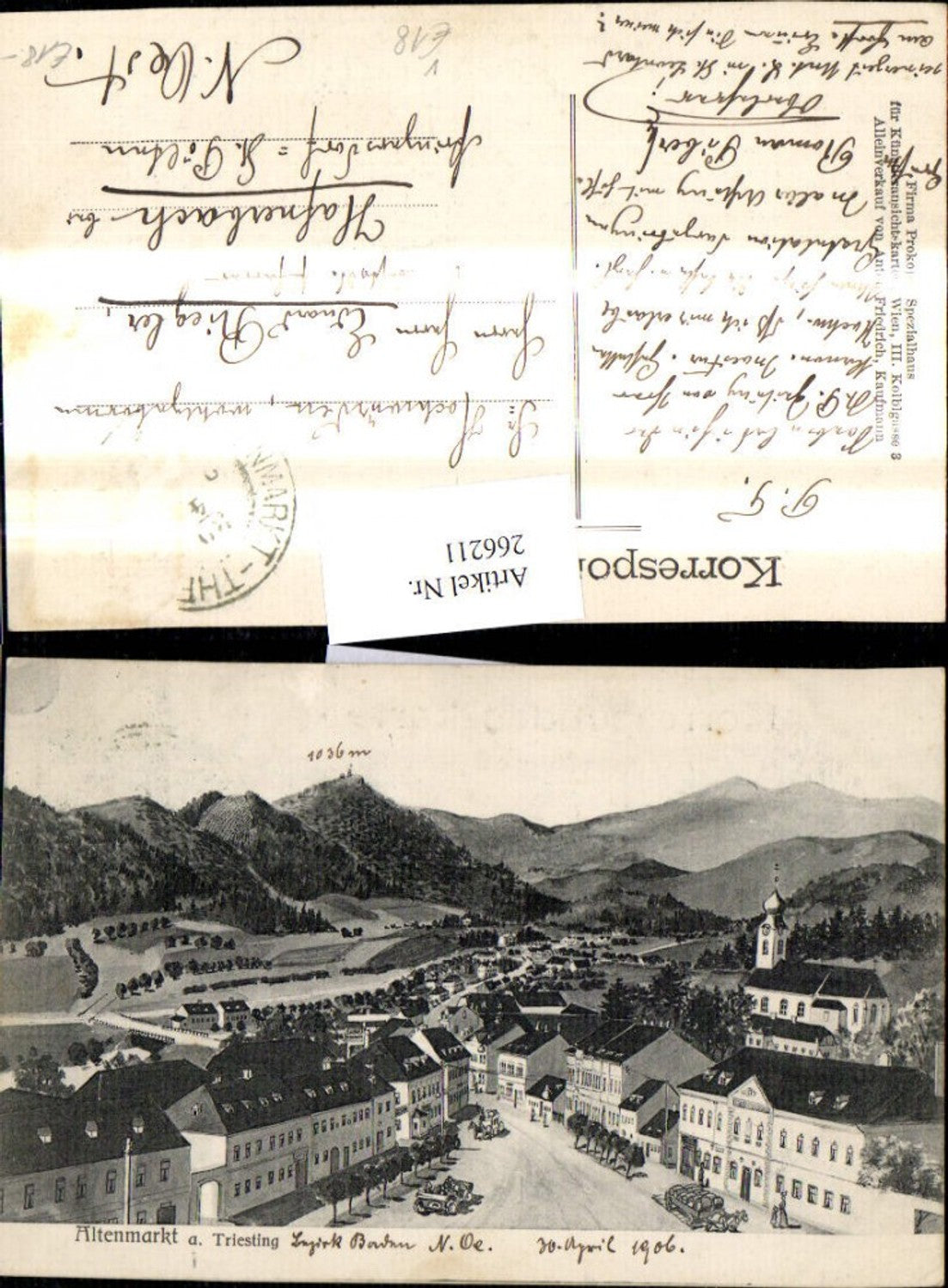 266211,Künstler Ak Altenmarkt a. Triesting pub Prokopp