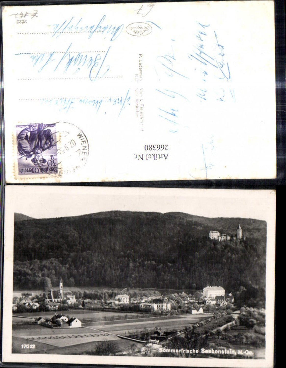 266380,Foto Ak Seebenstein Totale m. Schloss