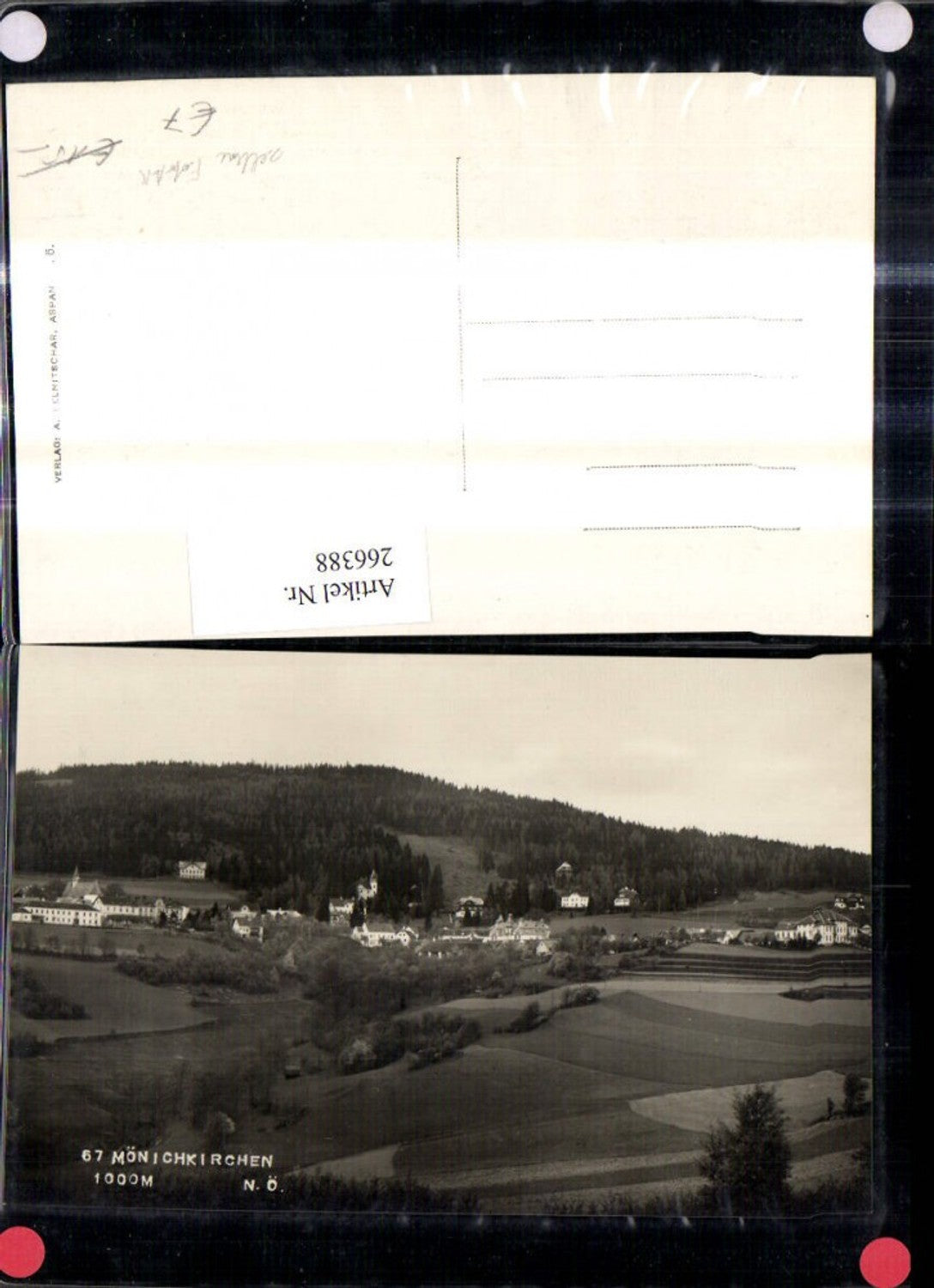 266388,Seltene Foto Ak Mönichkirchen Teilansicht