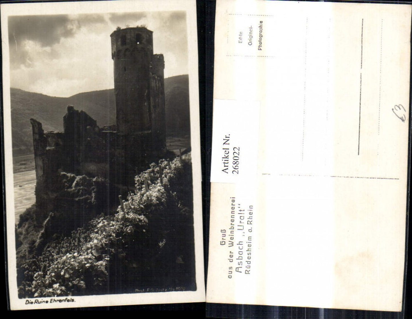 268022,Foto Ak Burg Ruine Ehrenfels