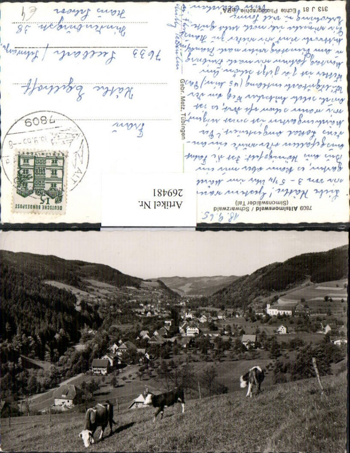 269481,Simonswald Totale Schwarzwald Bergkulisse Kühe Weide