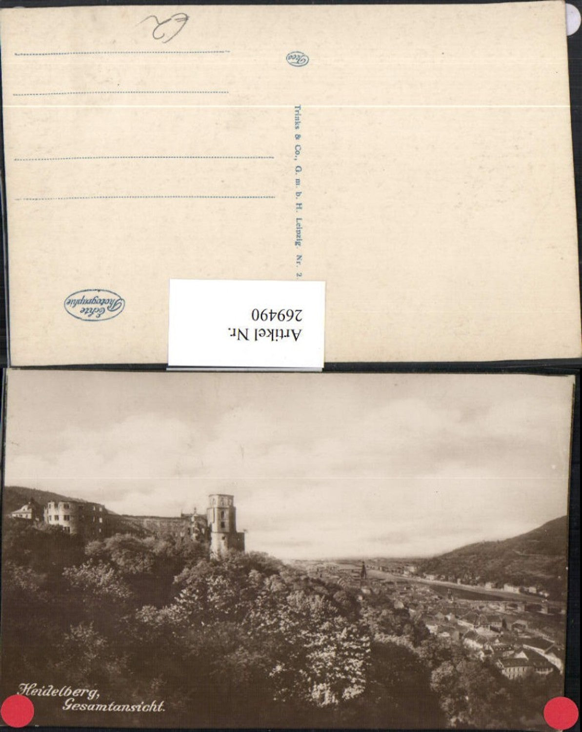 269490,Heidelberg Totale Schloss Heidelberg