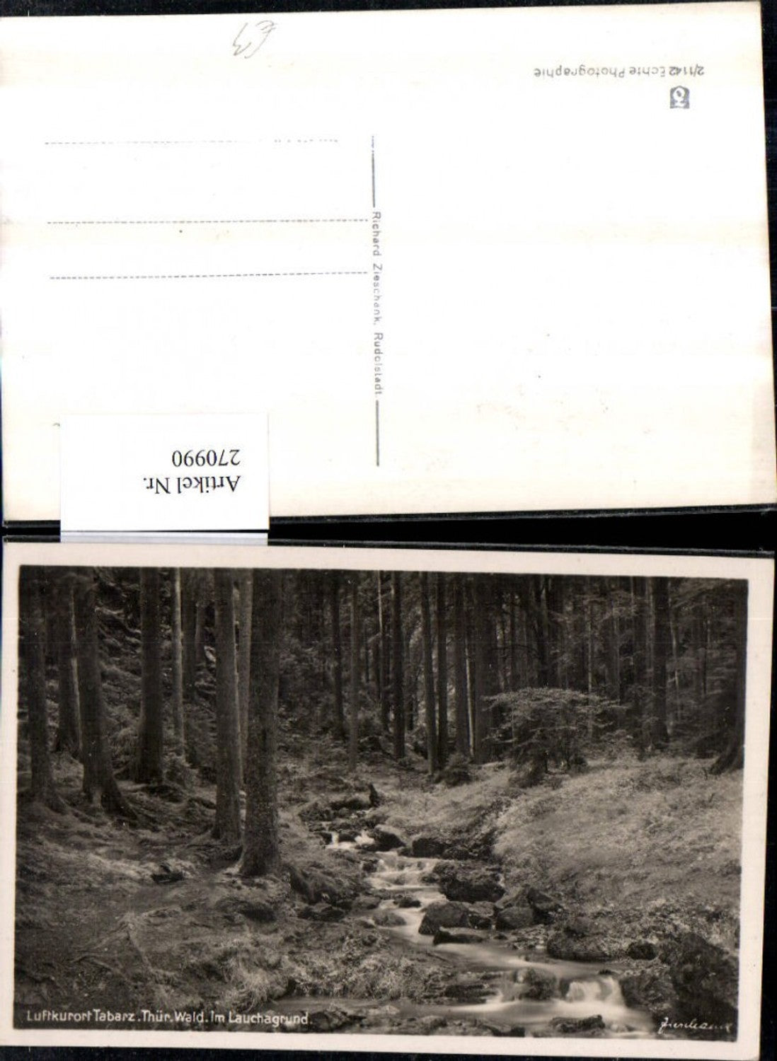 270990, Tabarz in the Thuringian Forest, Lauchagrund stream area